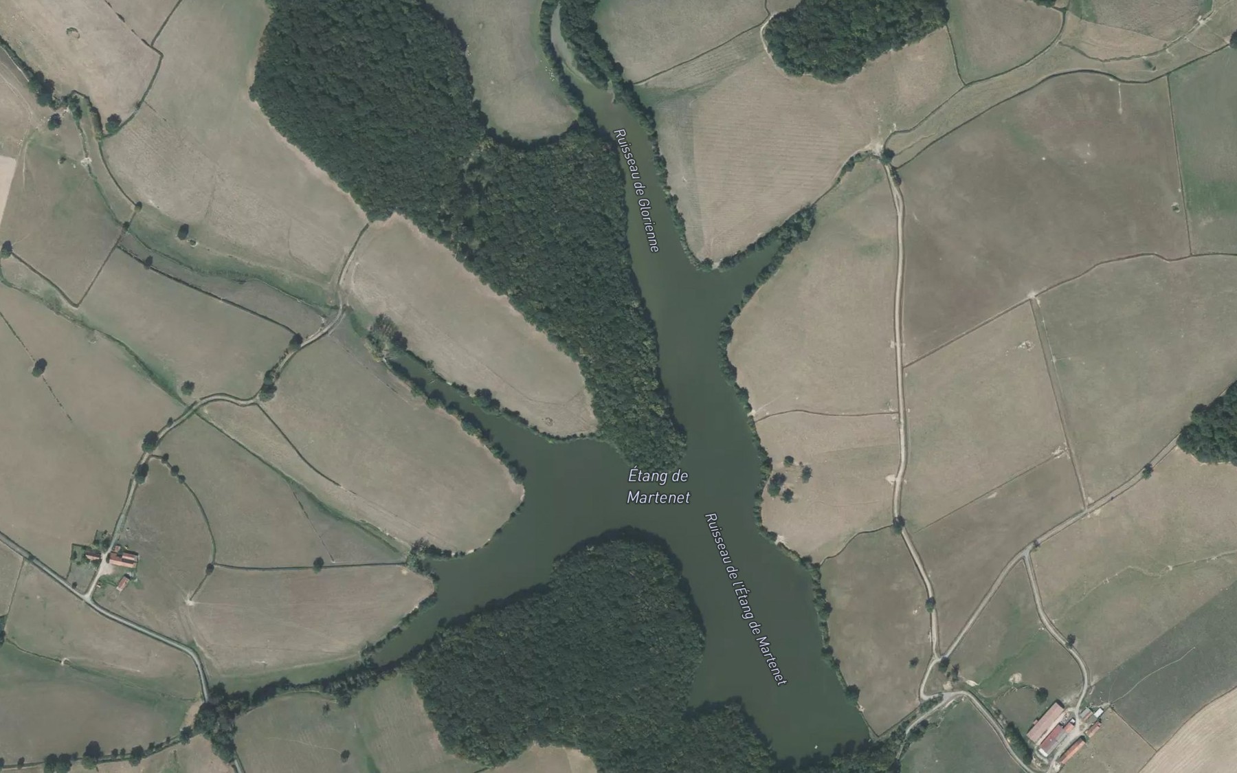 Satellite map of the Etang de Martenet