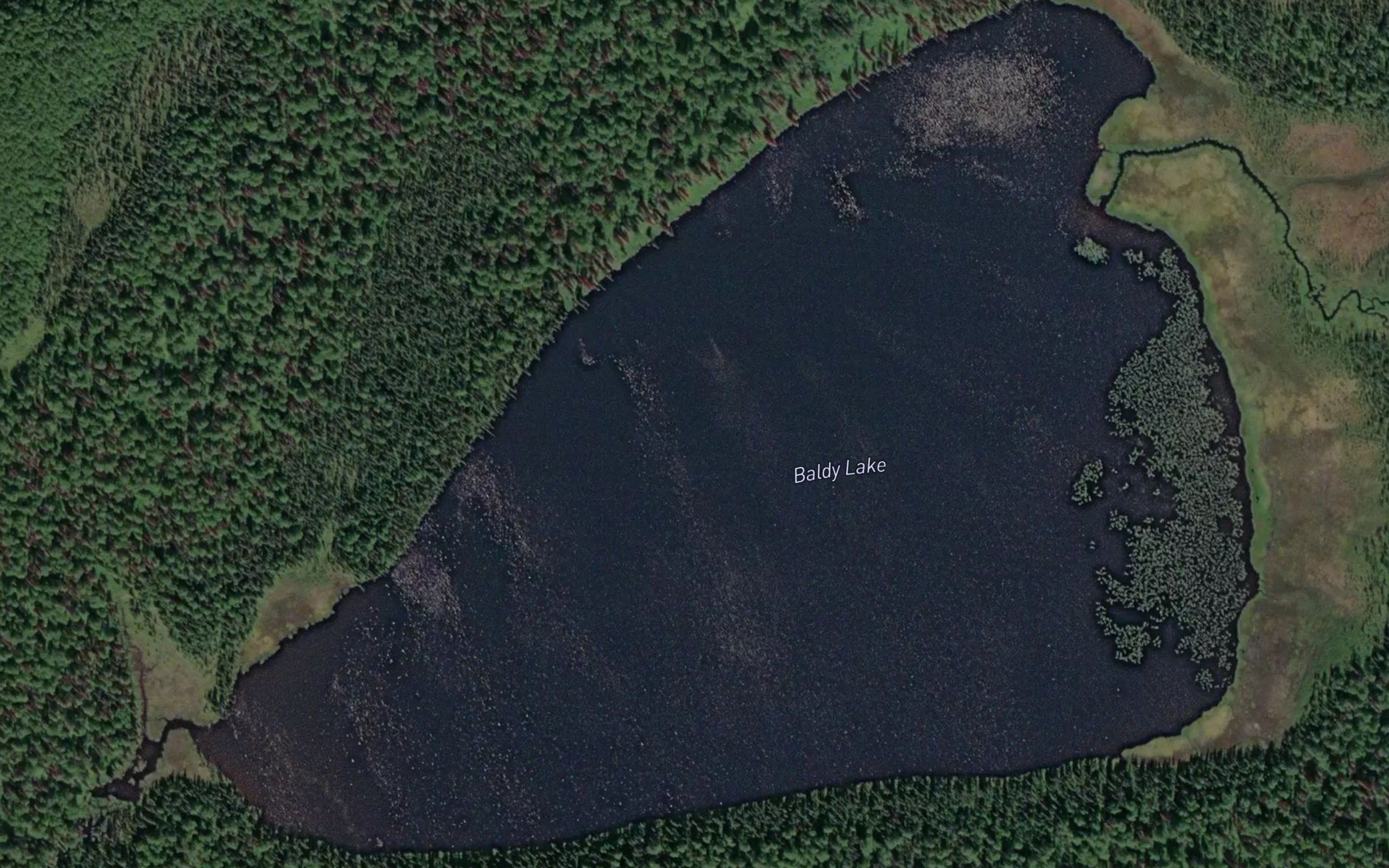Baldy Lake
