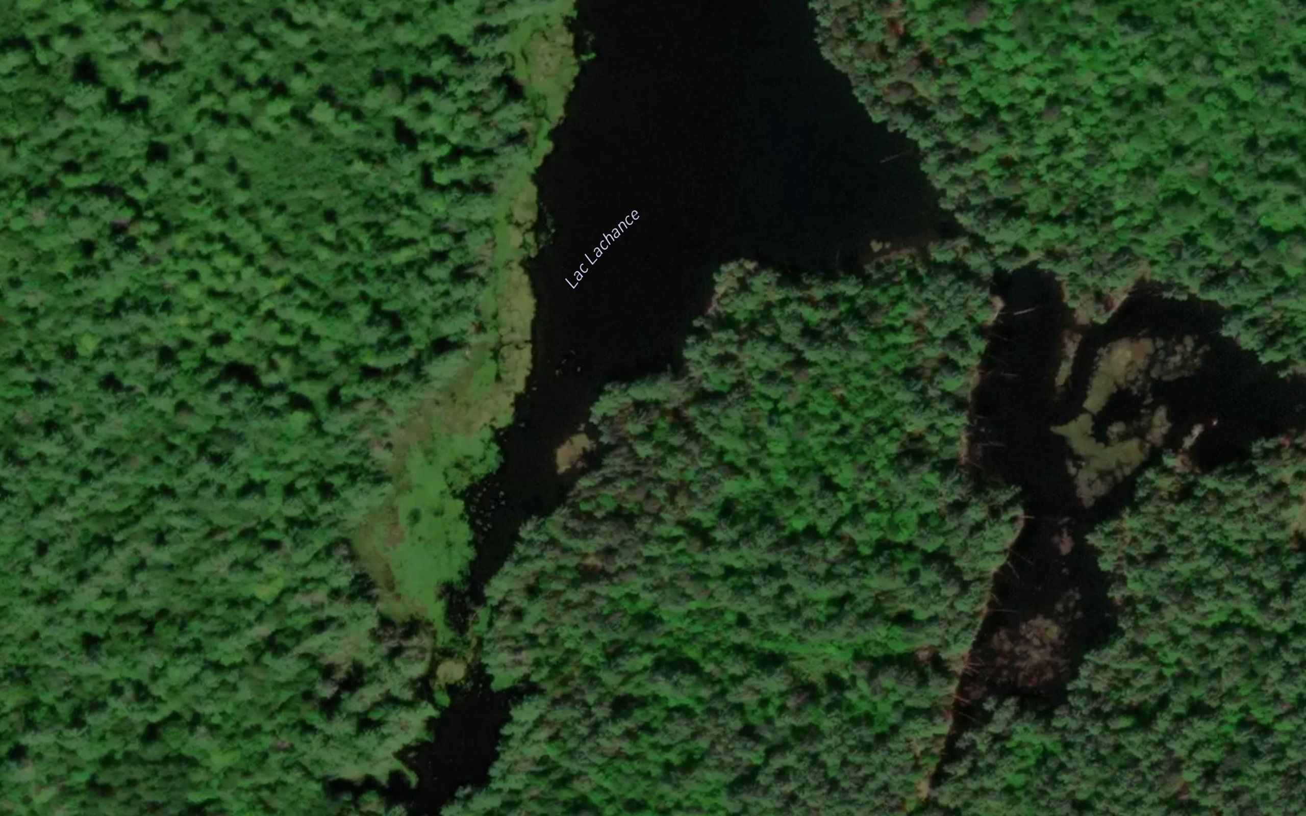 Lac Lachance