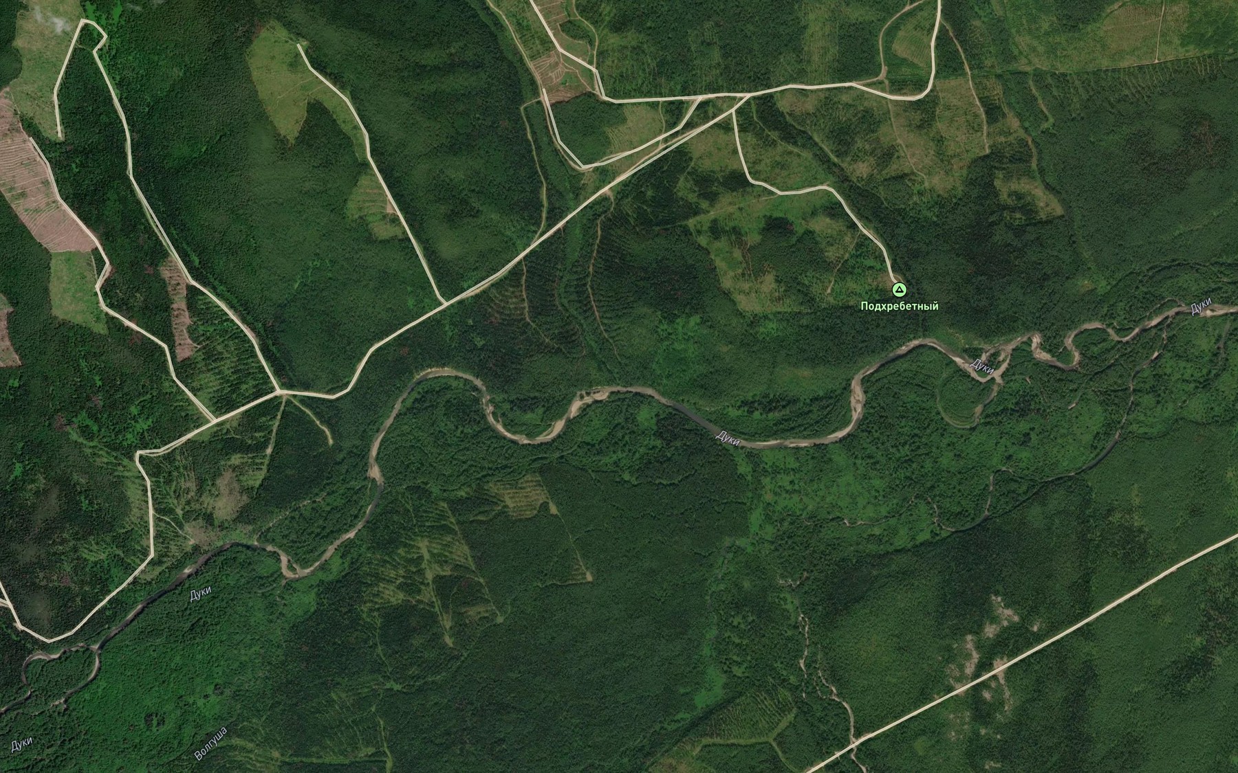 Satellite map of the Kustarnikovyy