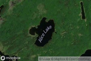 Alice Lake