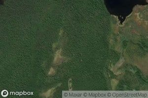 Shivera Amerikanskaya