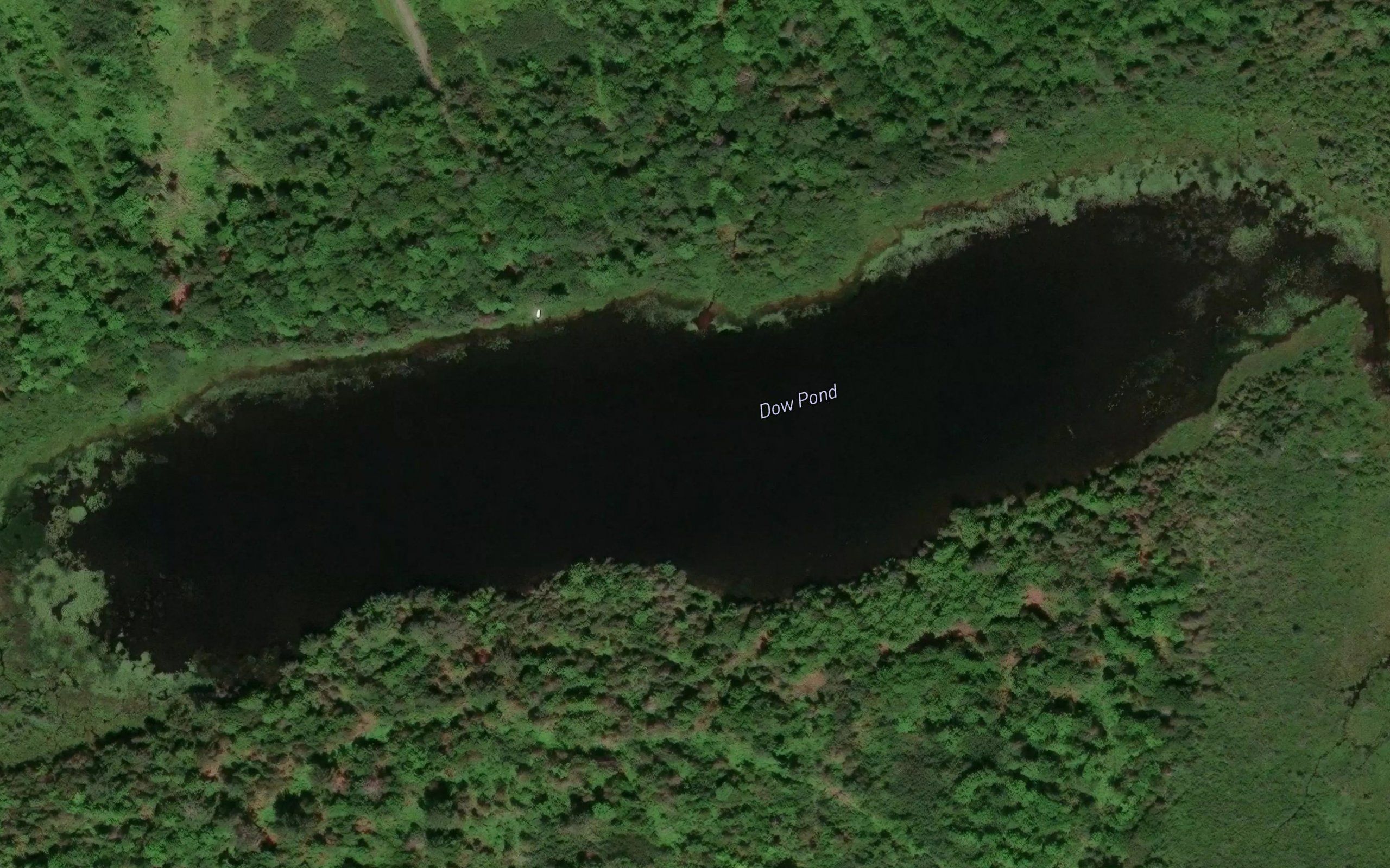 Dow Pond