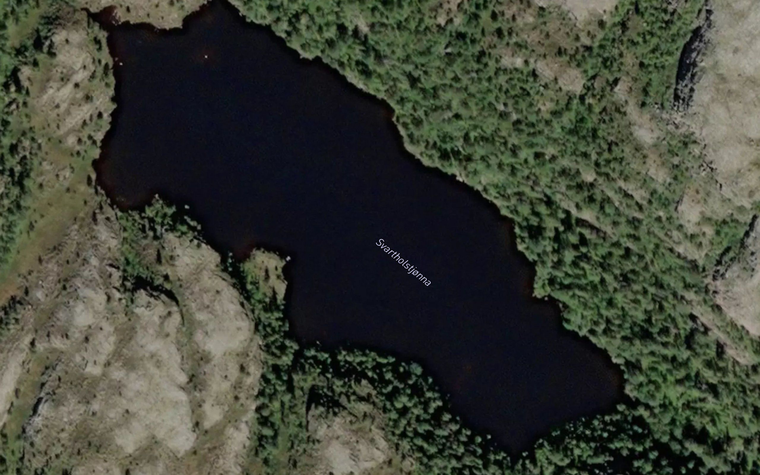 Svartholstjorna