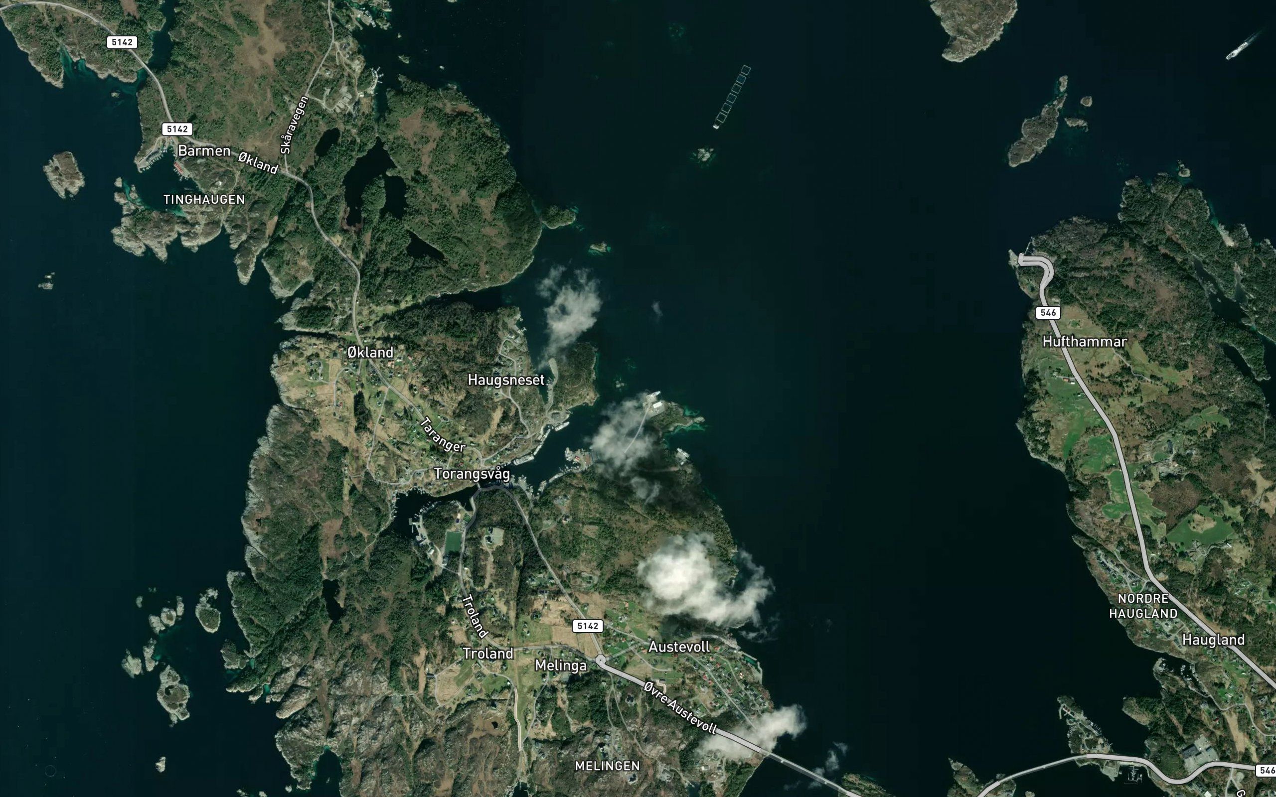 Vagsskjerflua