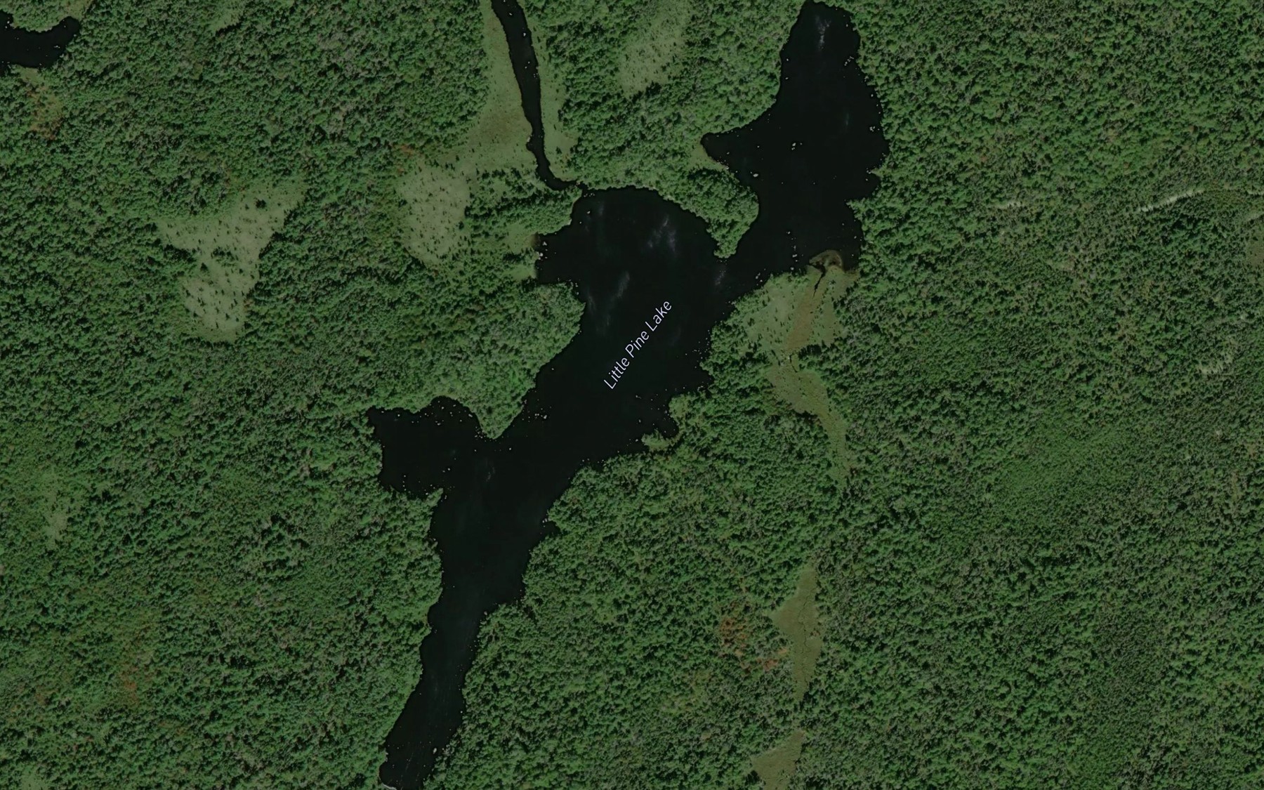 Satellite map of the Little Pine Lake