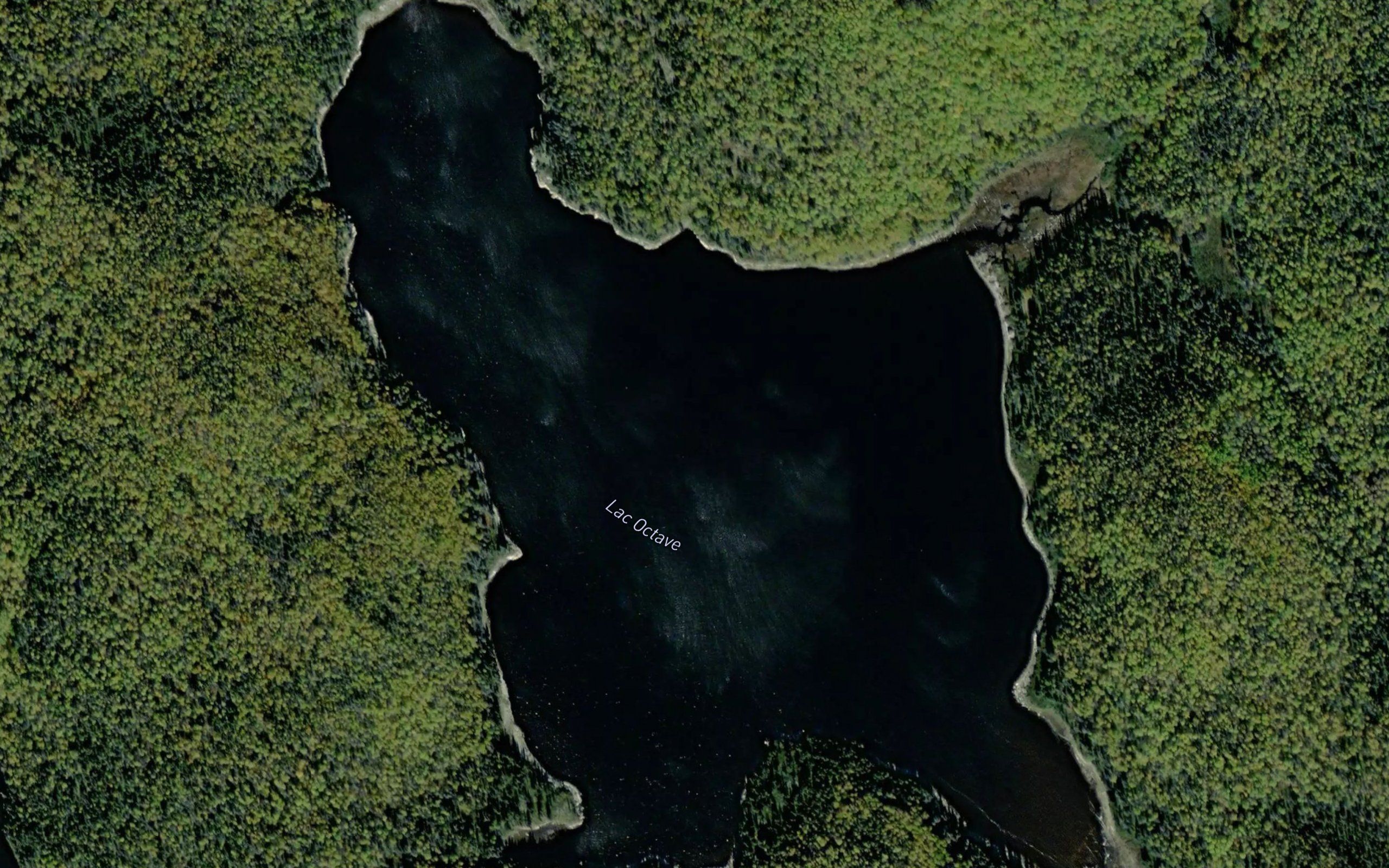 Lac Octave
