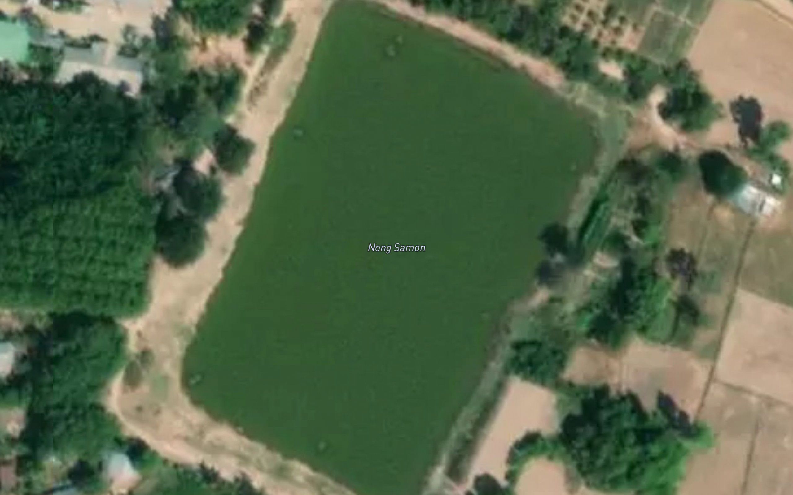 Nong Samon