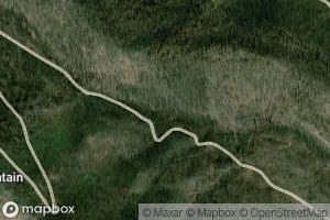 Fox Mountain Spring