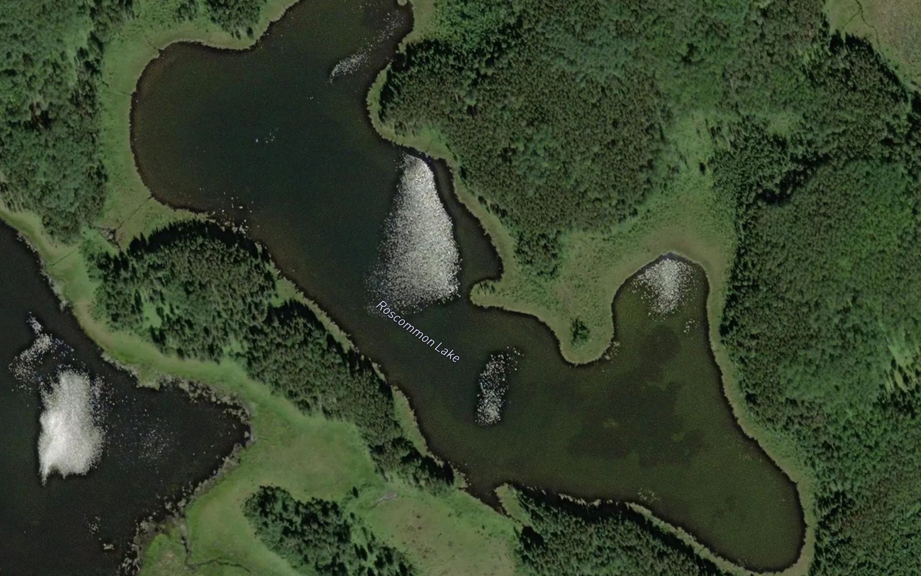 Satellite map of the Roscommon Lake