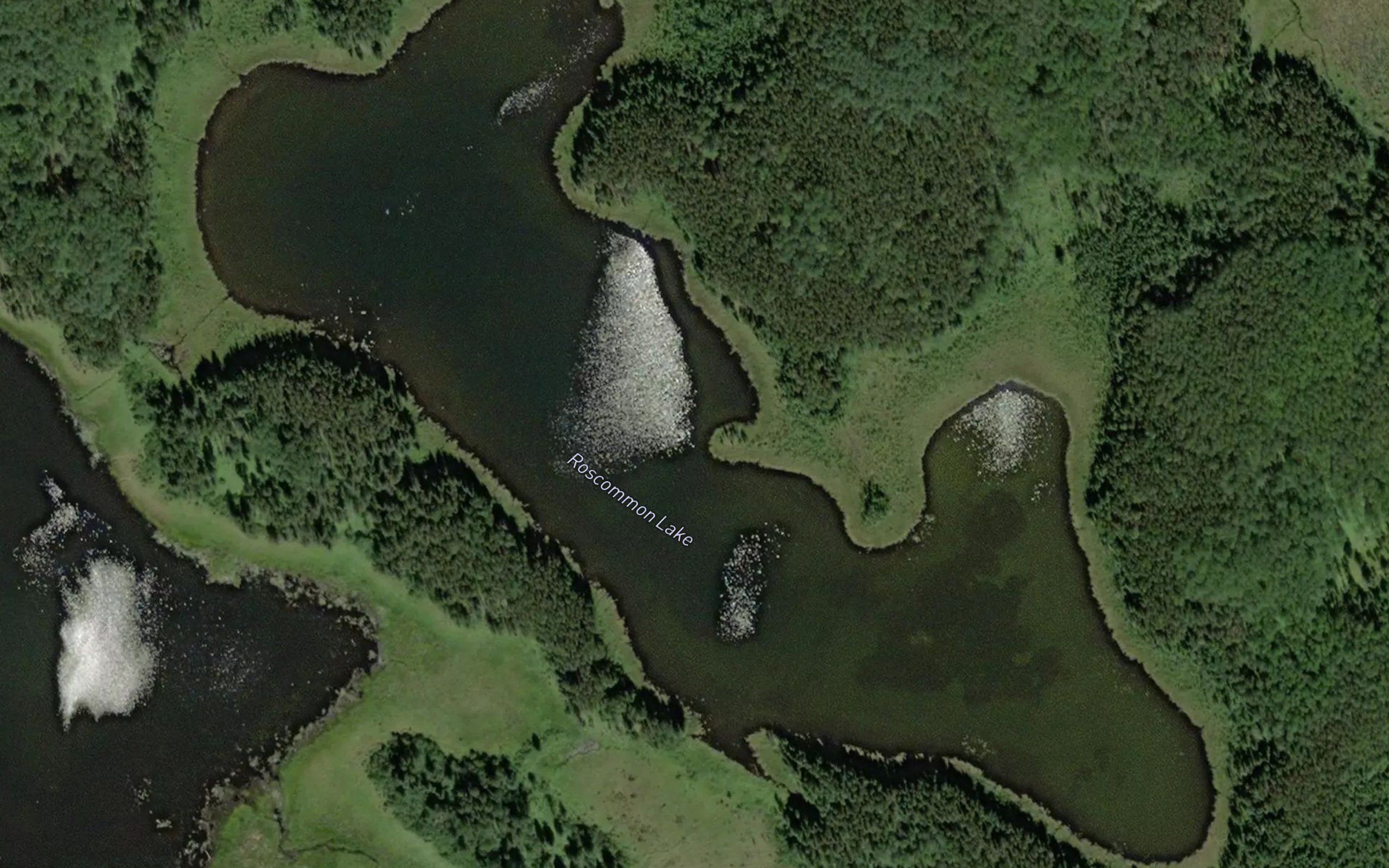 Roscommon Lake