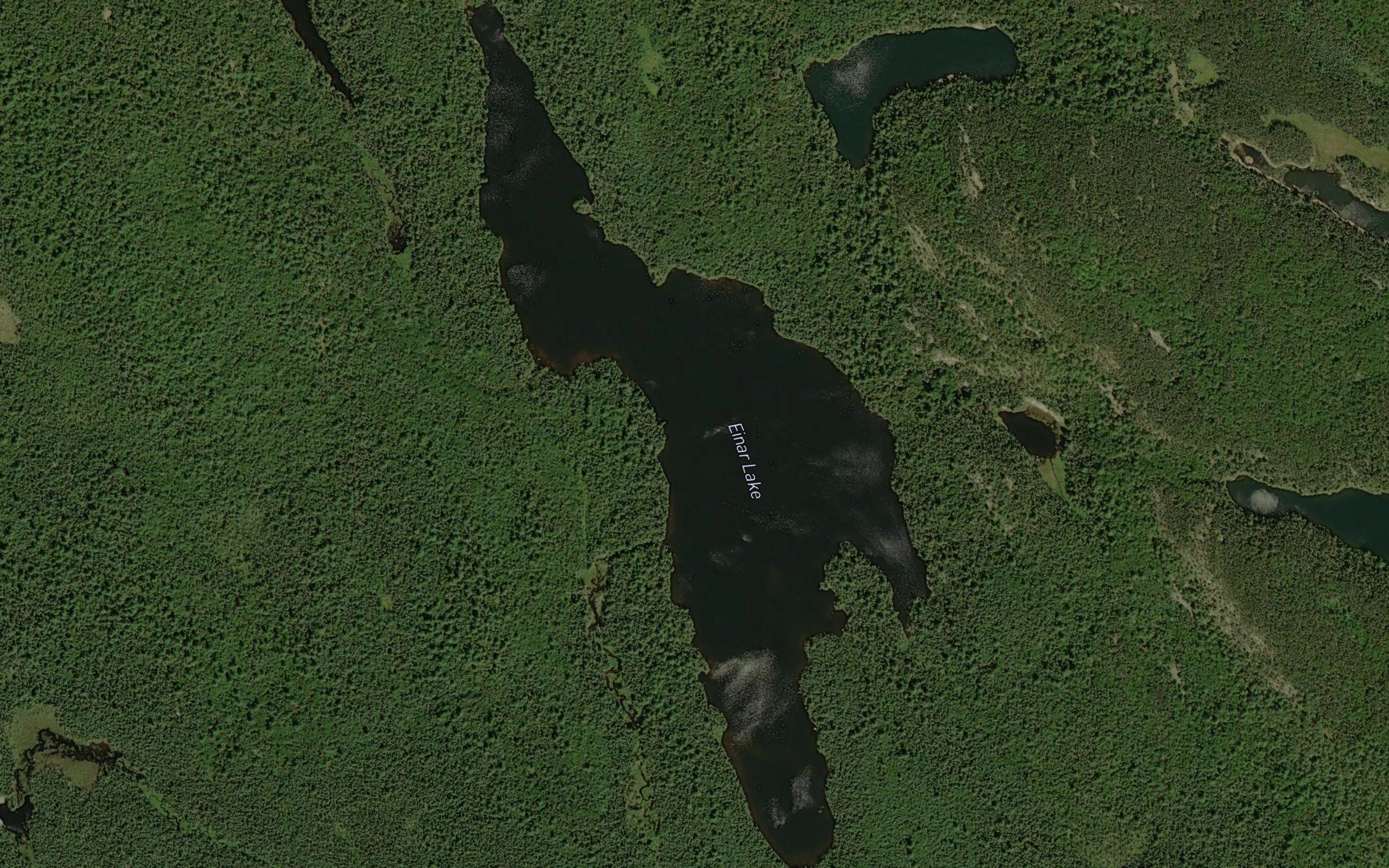 Einar Lake