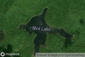 Nick Lake