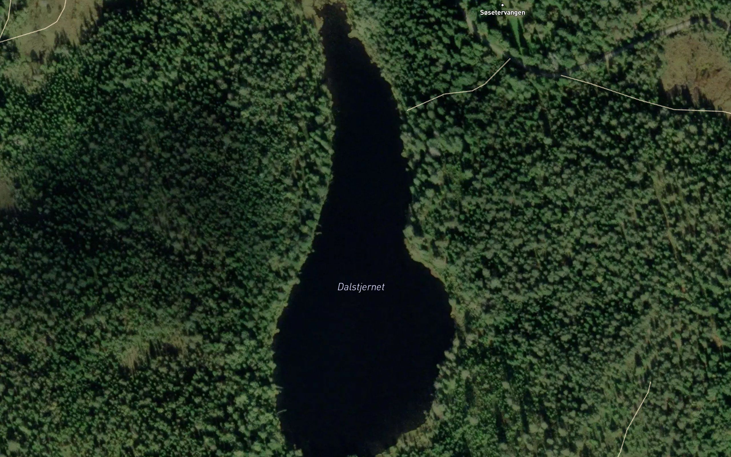 Dalstjernet