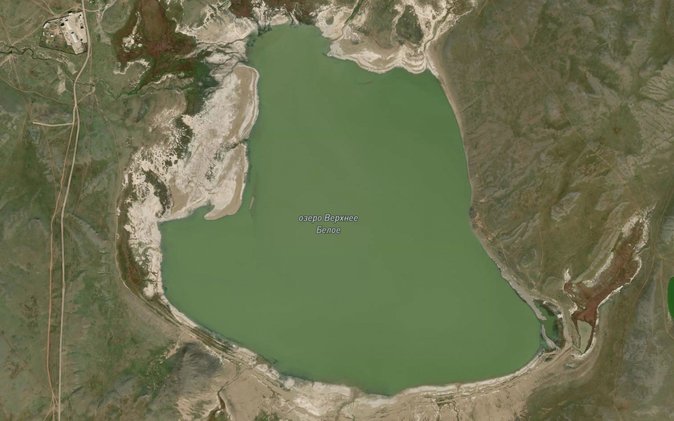Kholoy