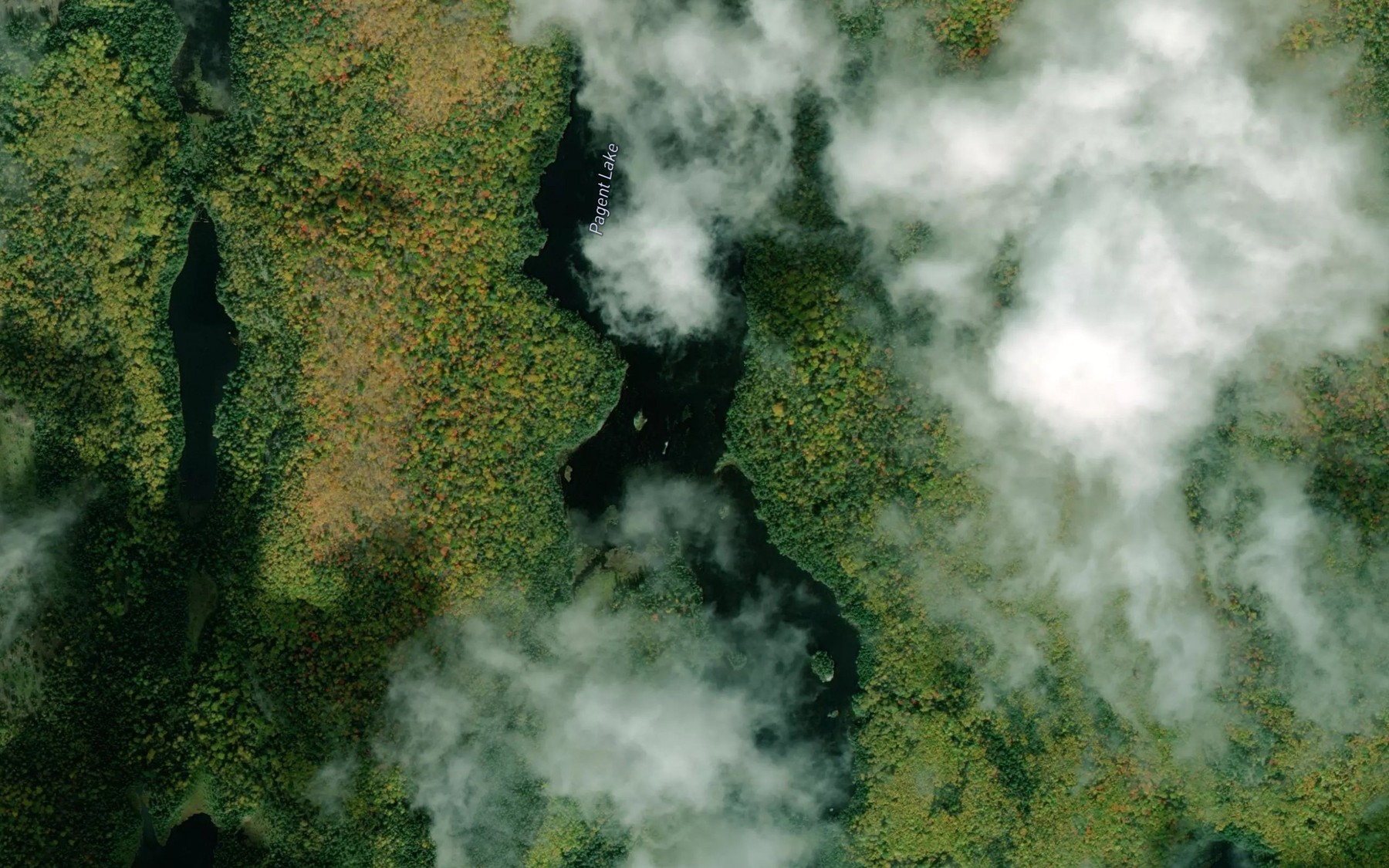 Satellite map of the Pagent Lake