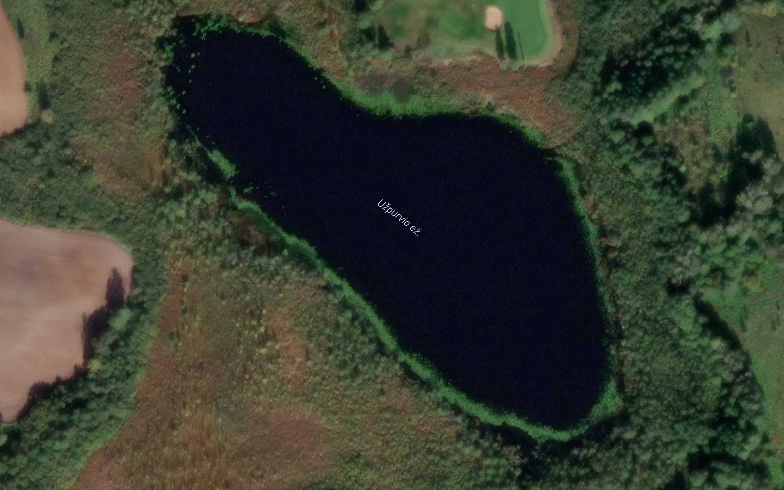Uzpurvio Ezeras