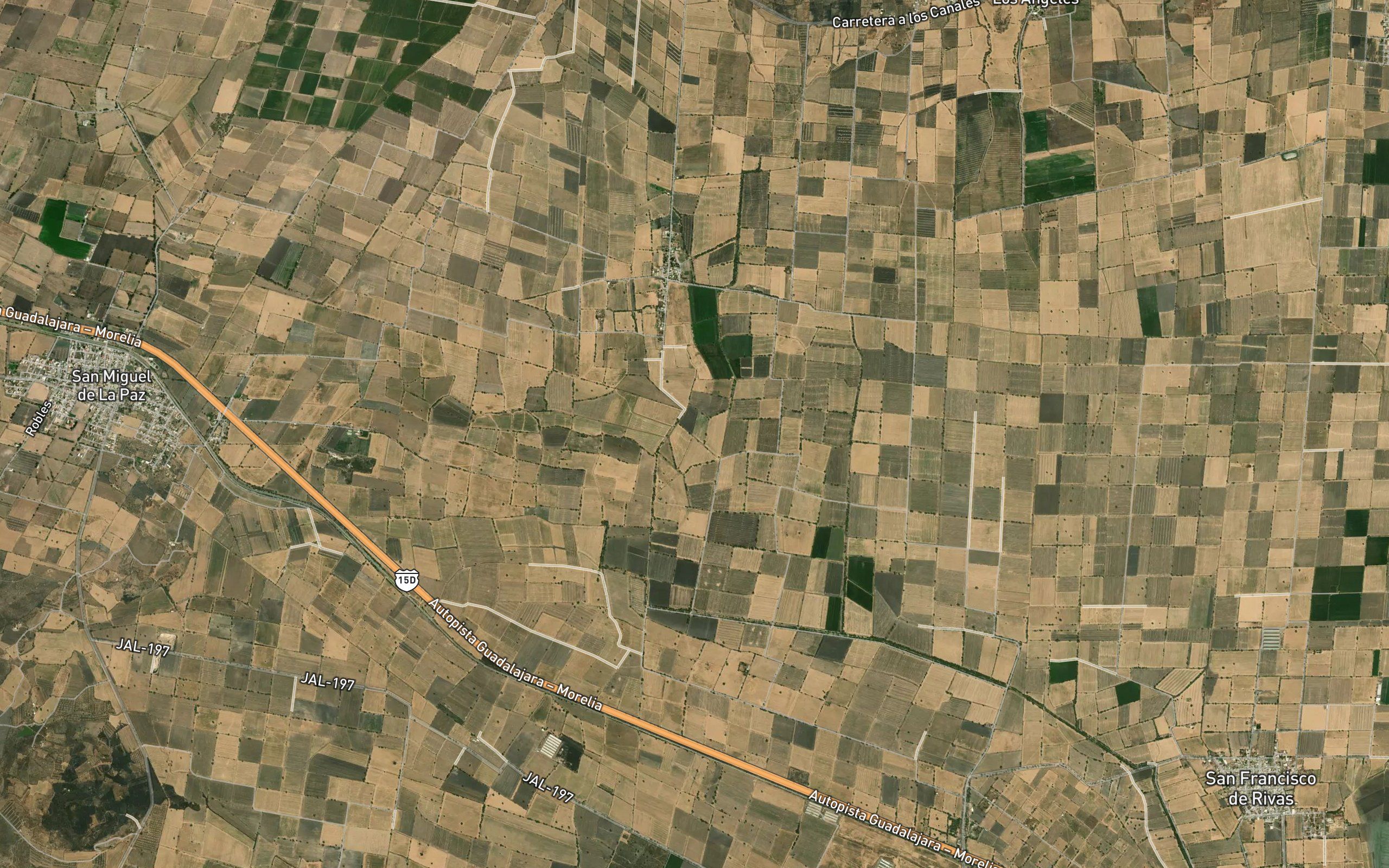 Palo Dulce