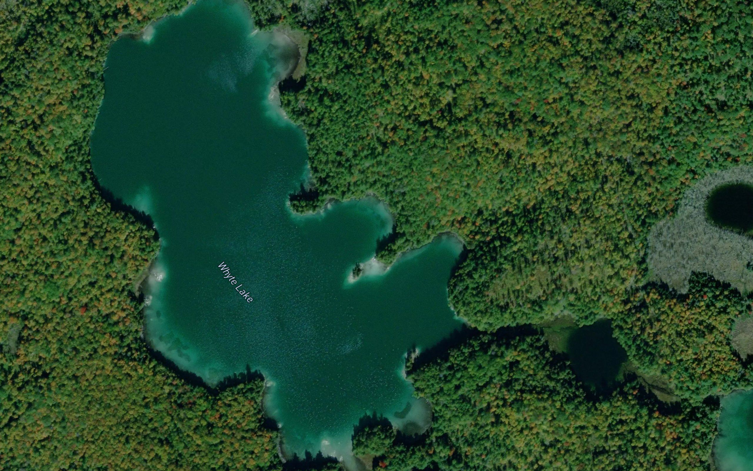 Whyte Lake