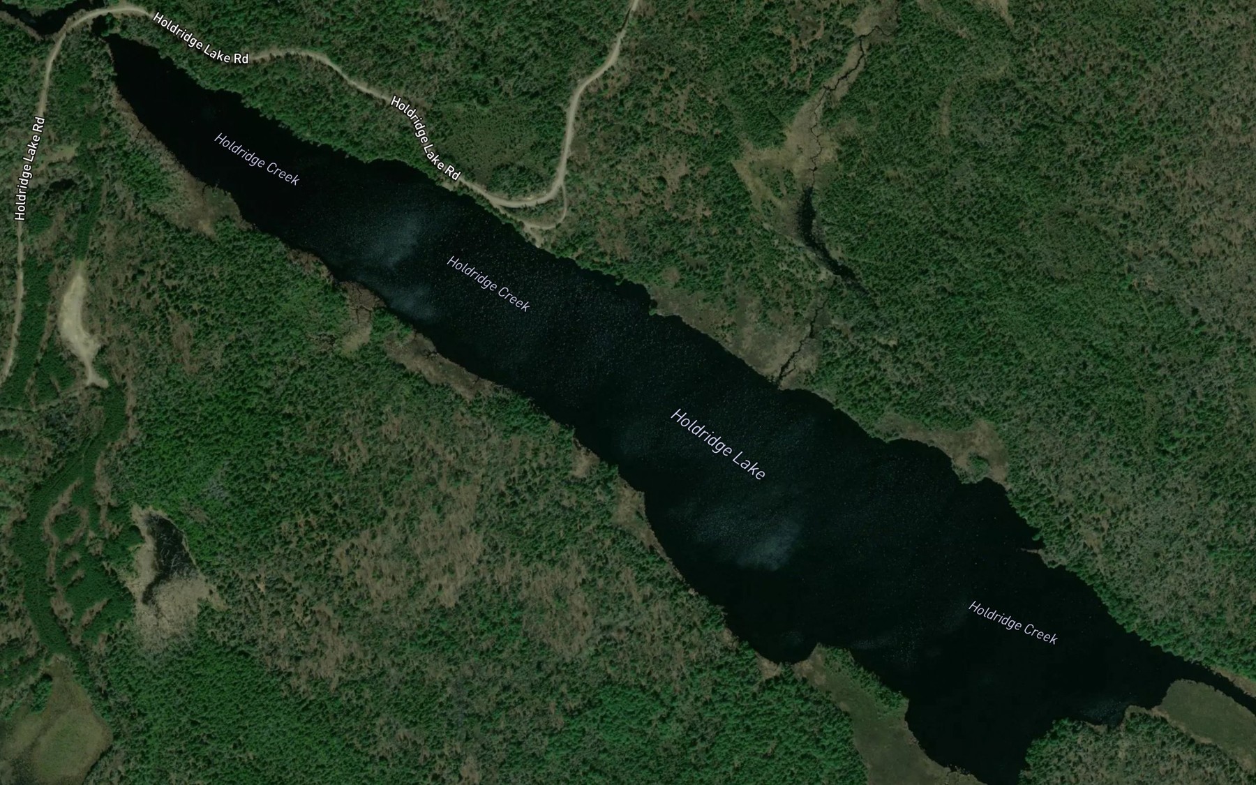 Satellite map of the Holdridge Lake