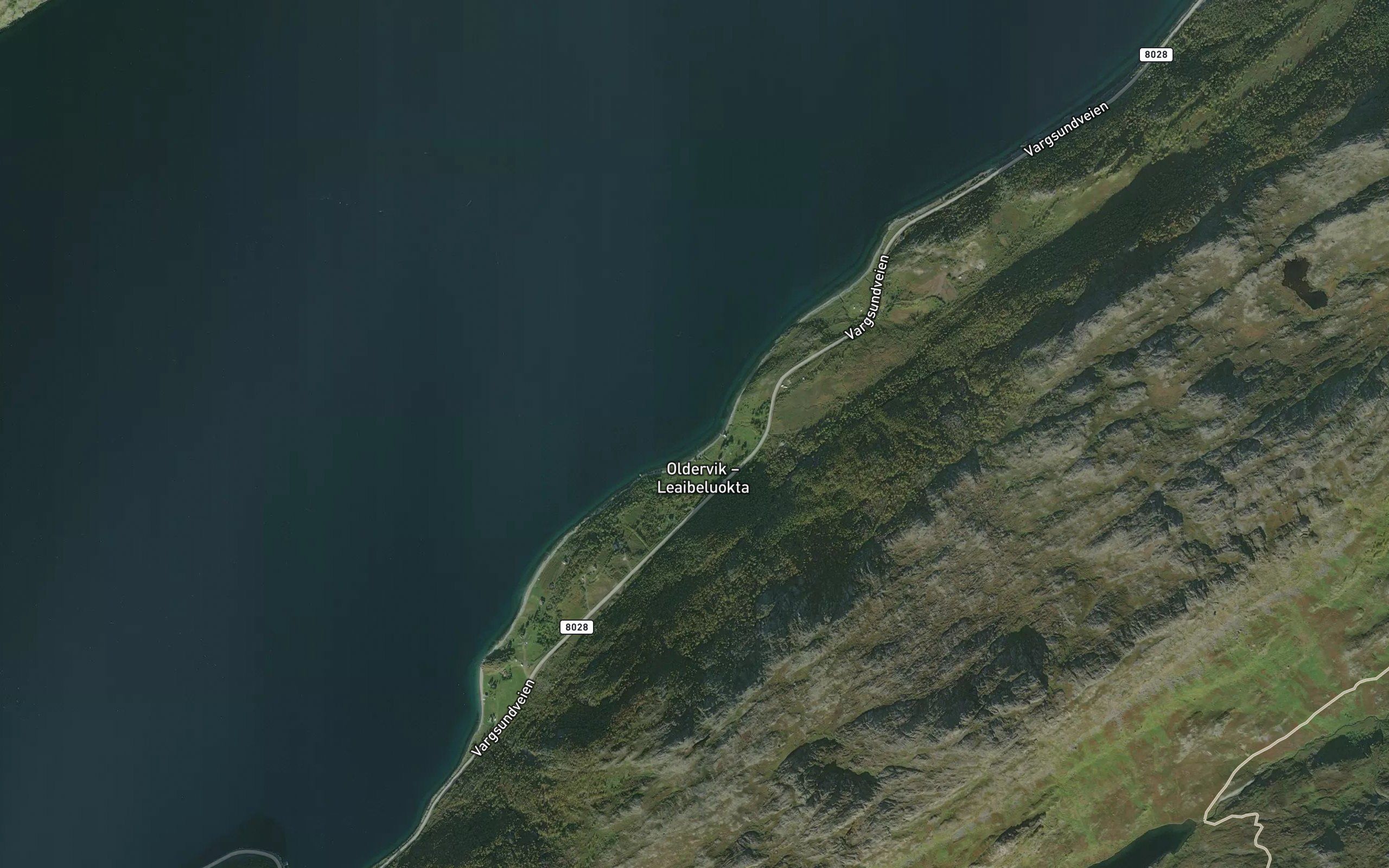 Store Oldervik