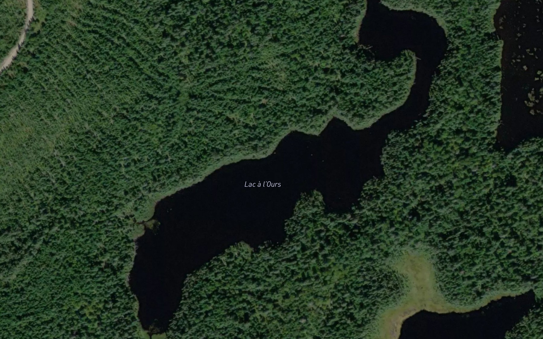 Satellite map of the Lac a l'Ours