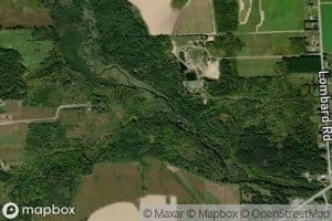 South Branch Caribou Stream