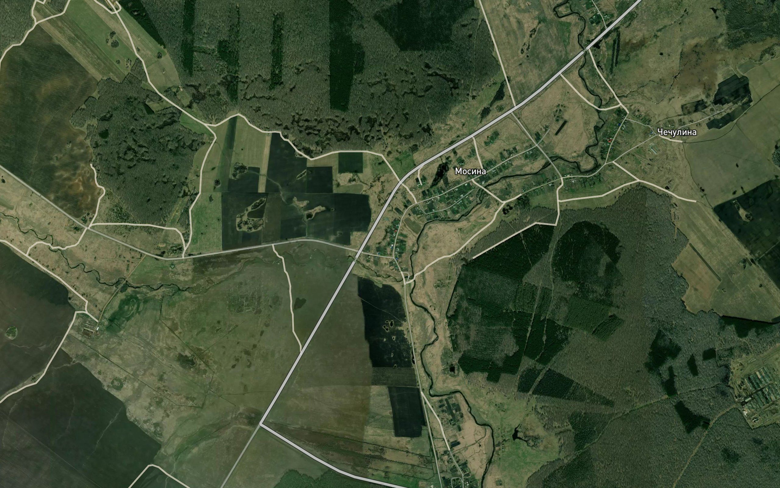 Belaya