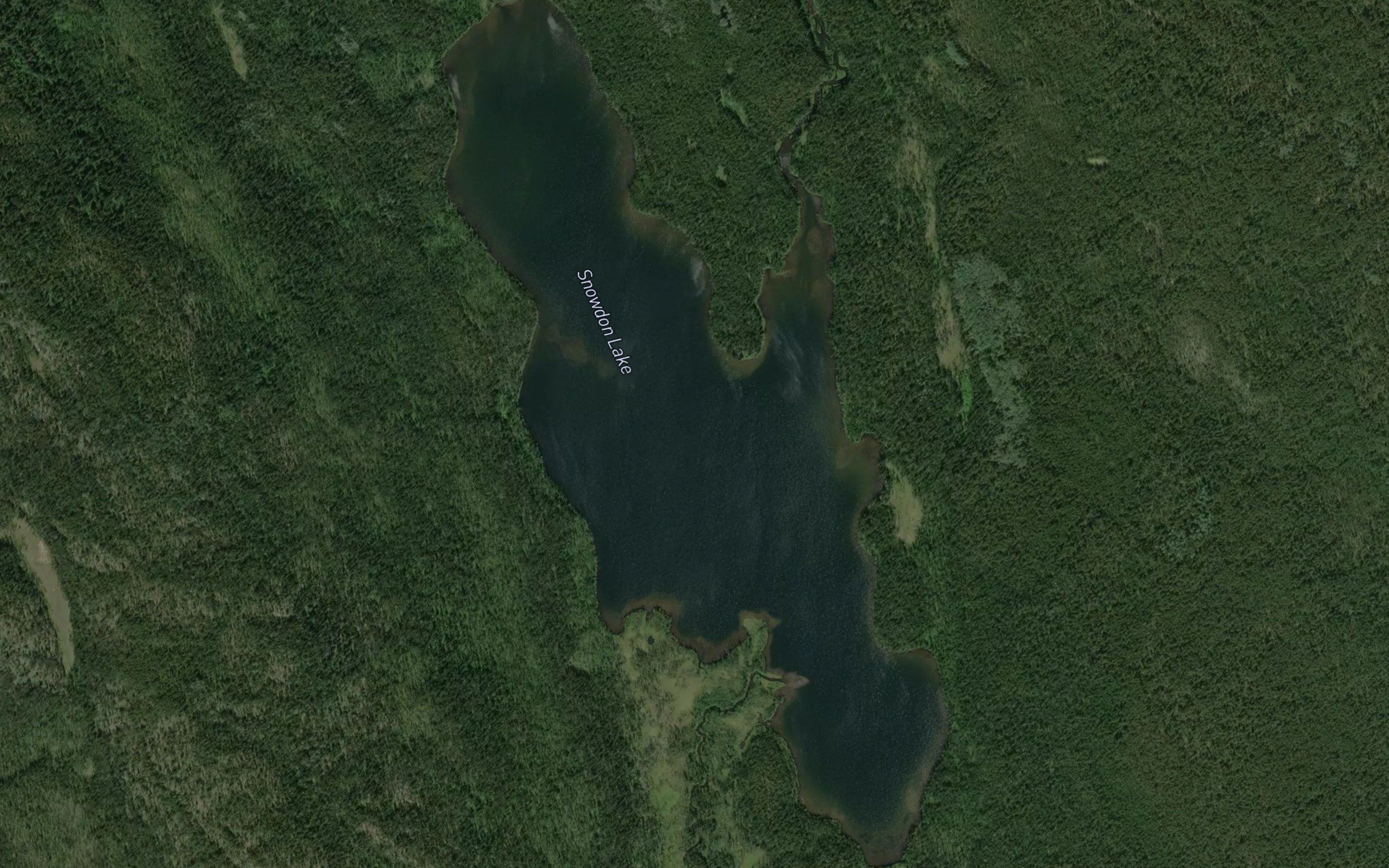 Snowdon Lake