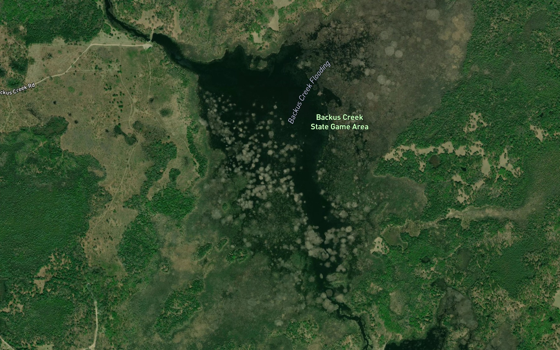 Satellite map of the Backus Creek Flooding
