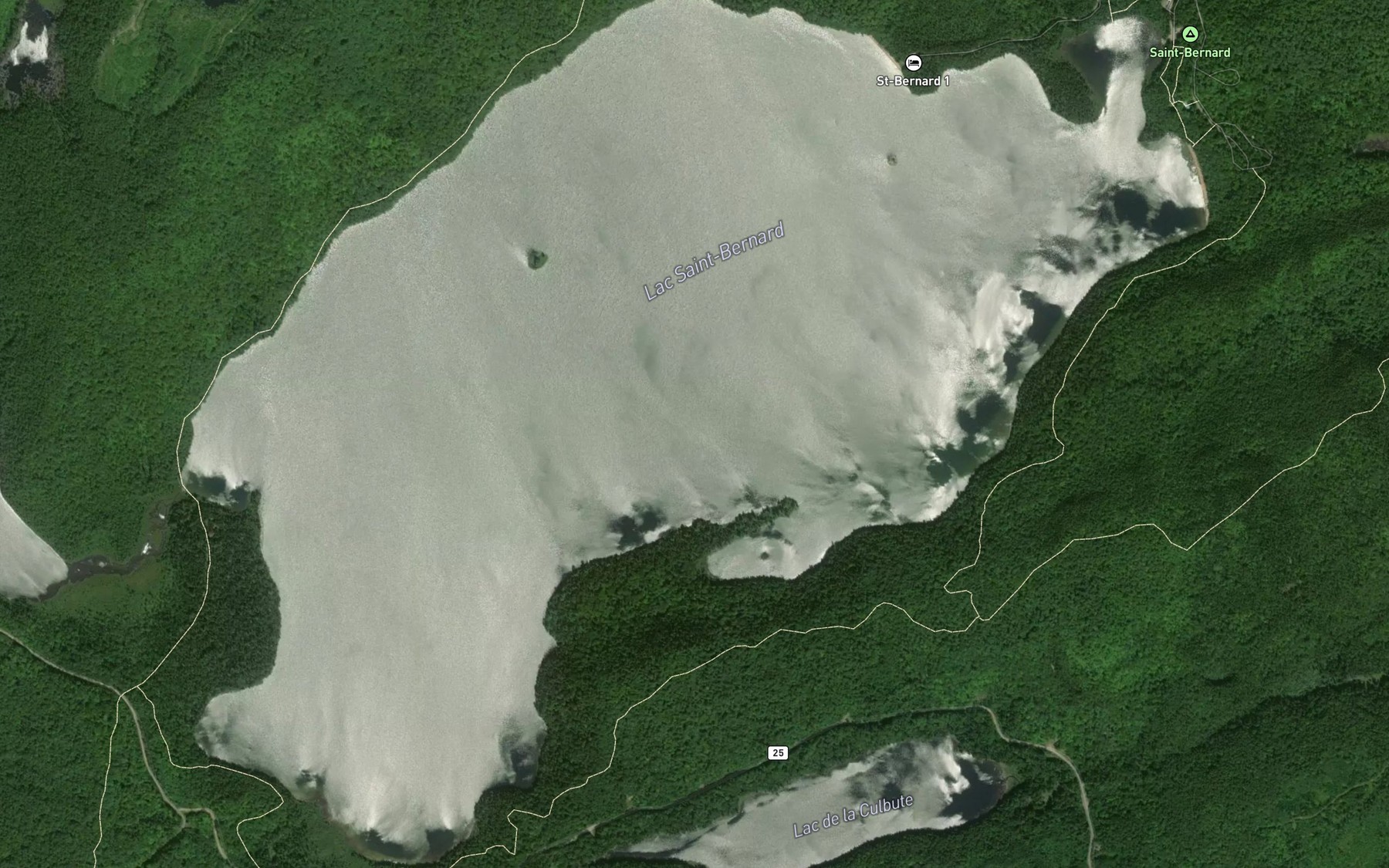 Satellite map of the Lac Saint-Bernard