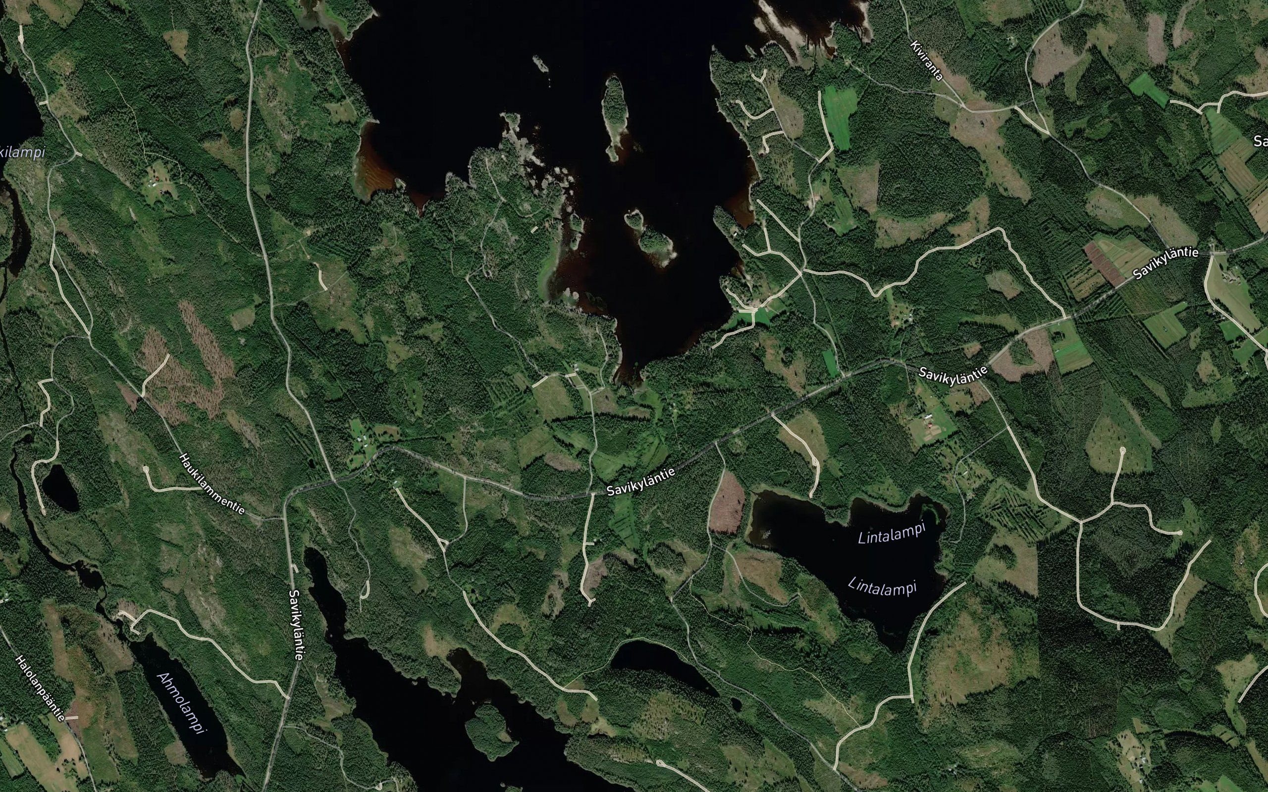 Torisevanpuro