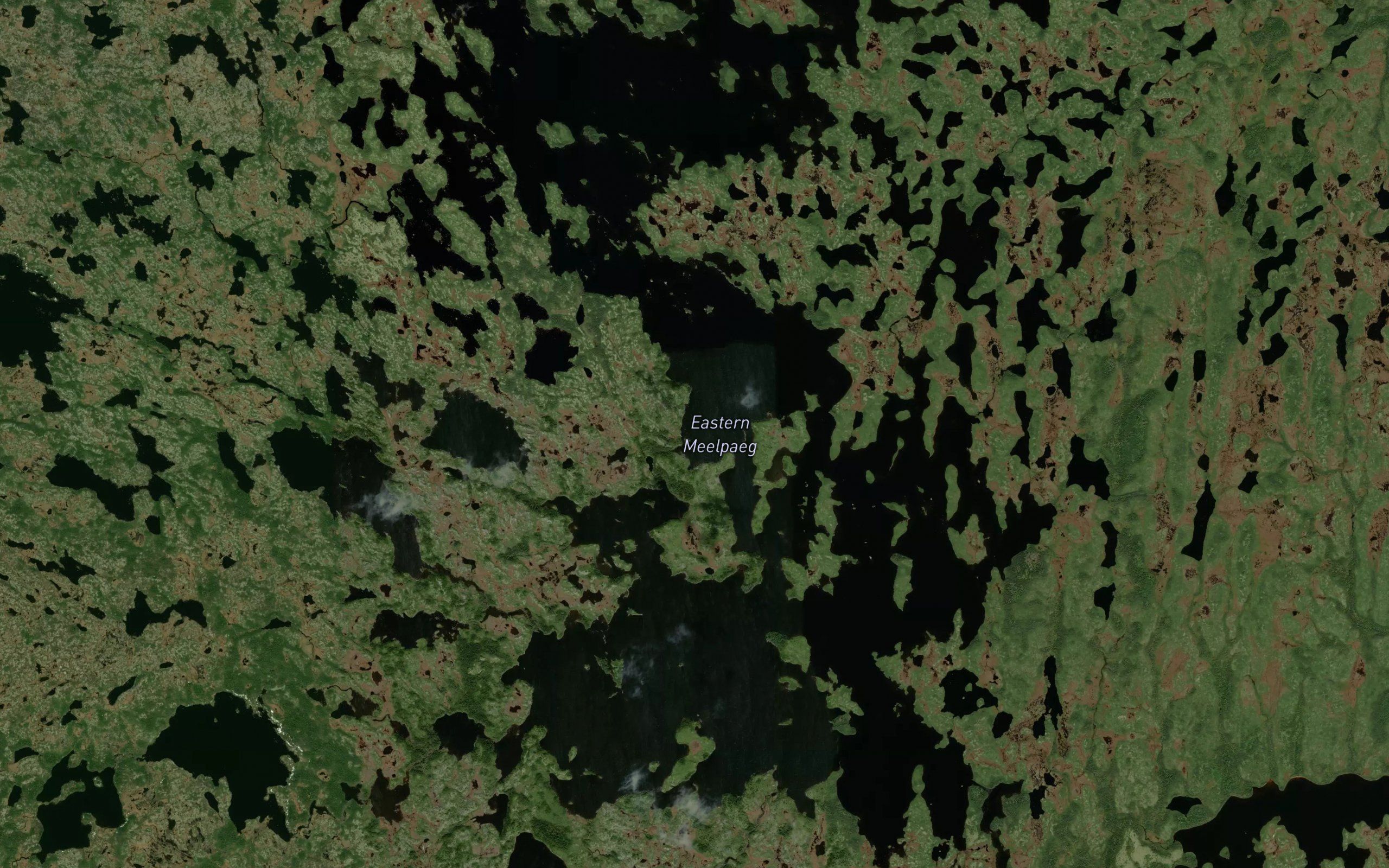 Eastern Meelpaeg