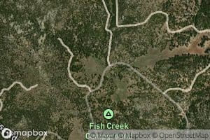 Jackass Creek
