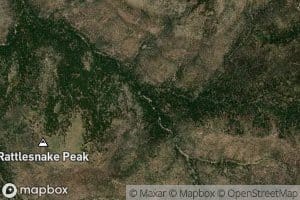Pine Spring