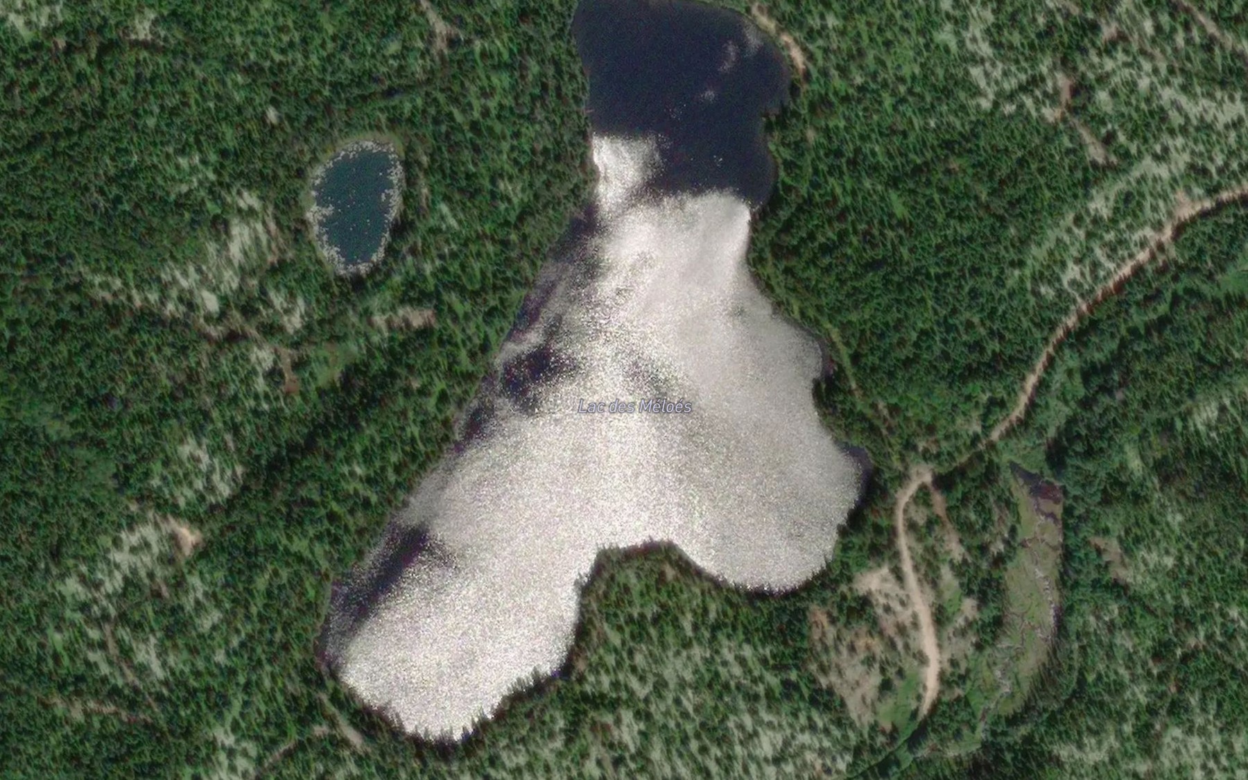 Satellite map of the Lac des Meloes