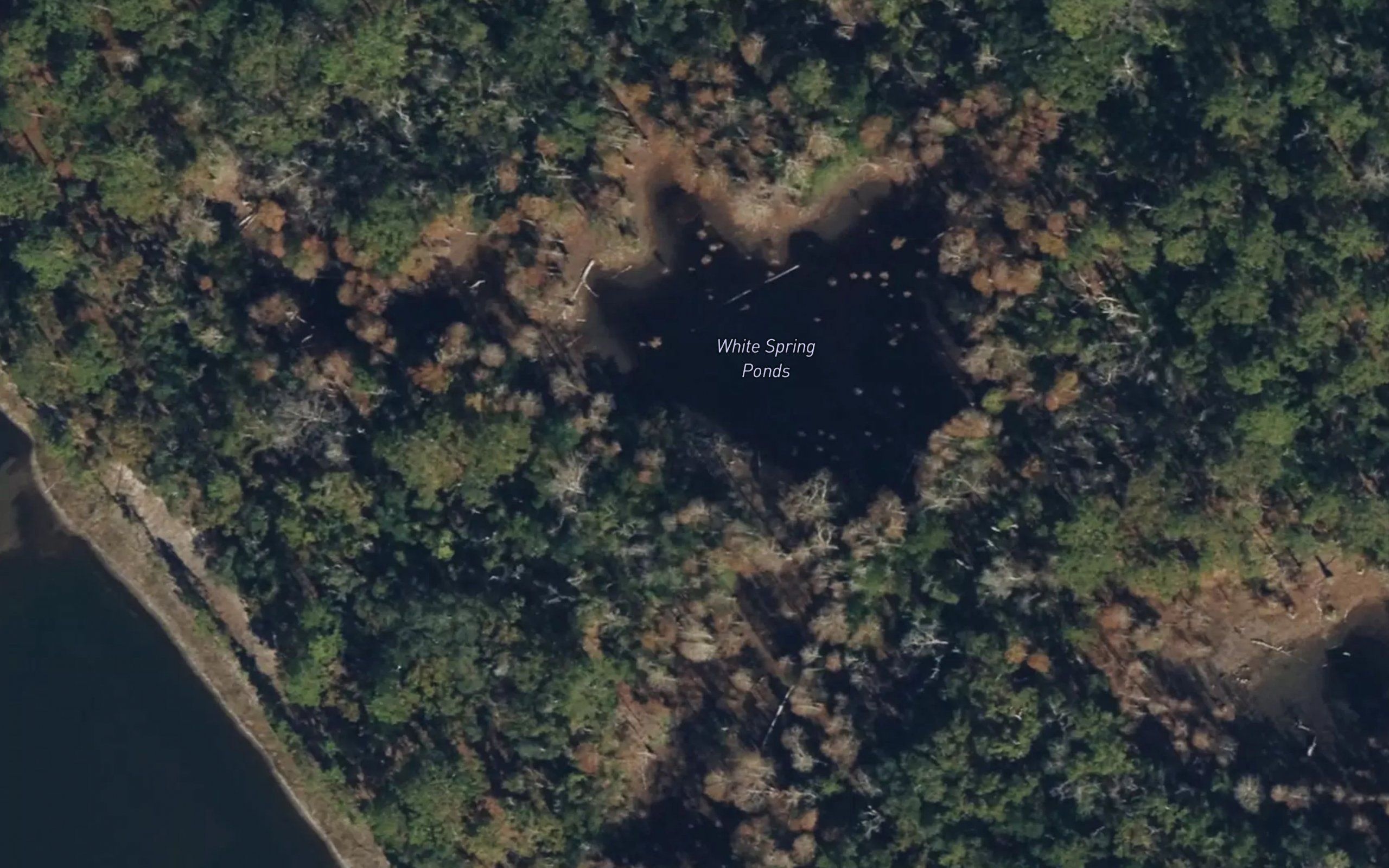 White Spring Ponds
