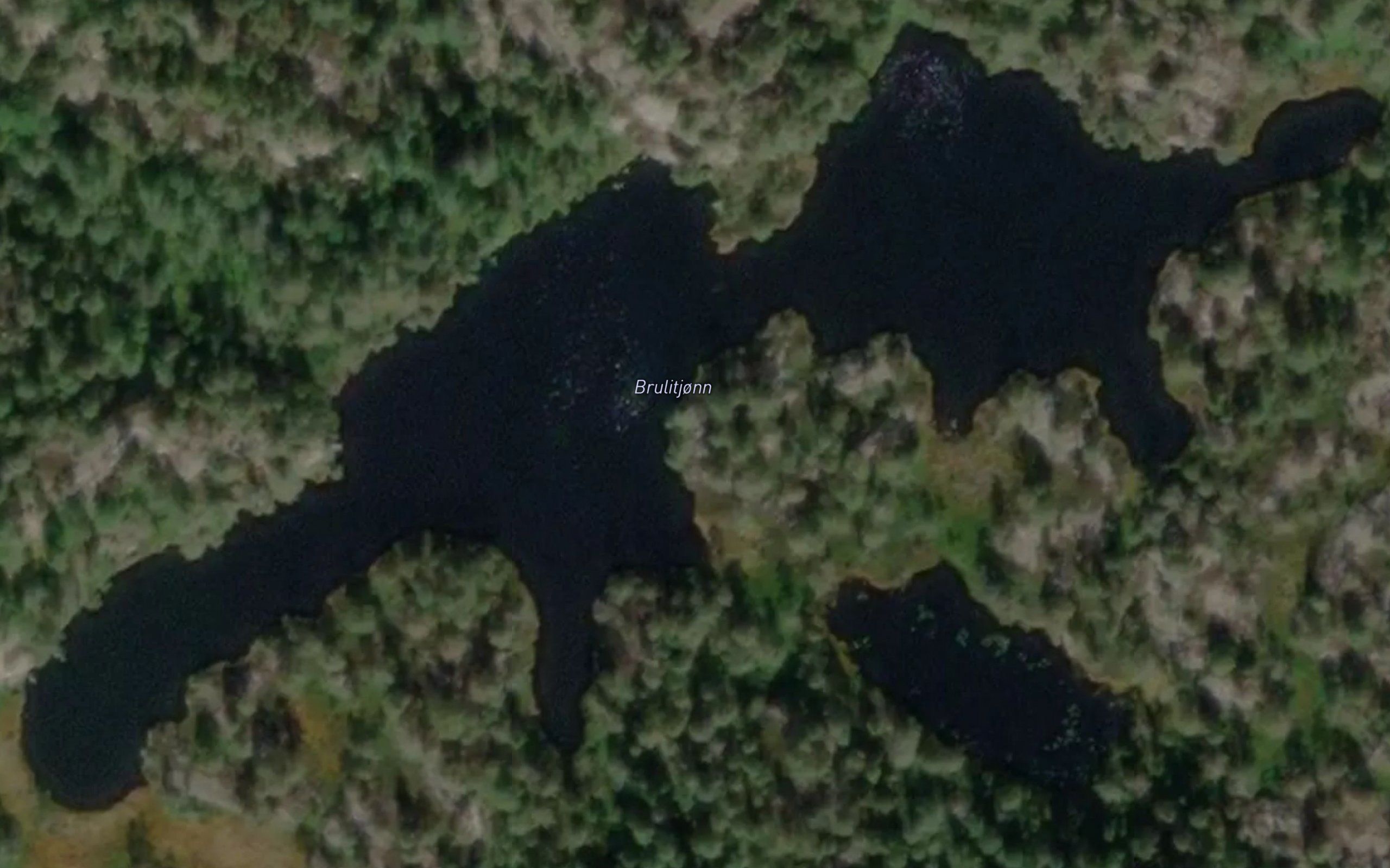 Biulitjorn