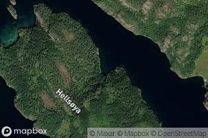 Helsoyvika