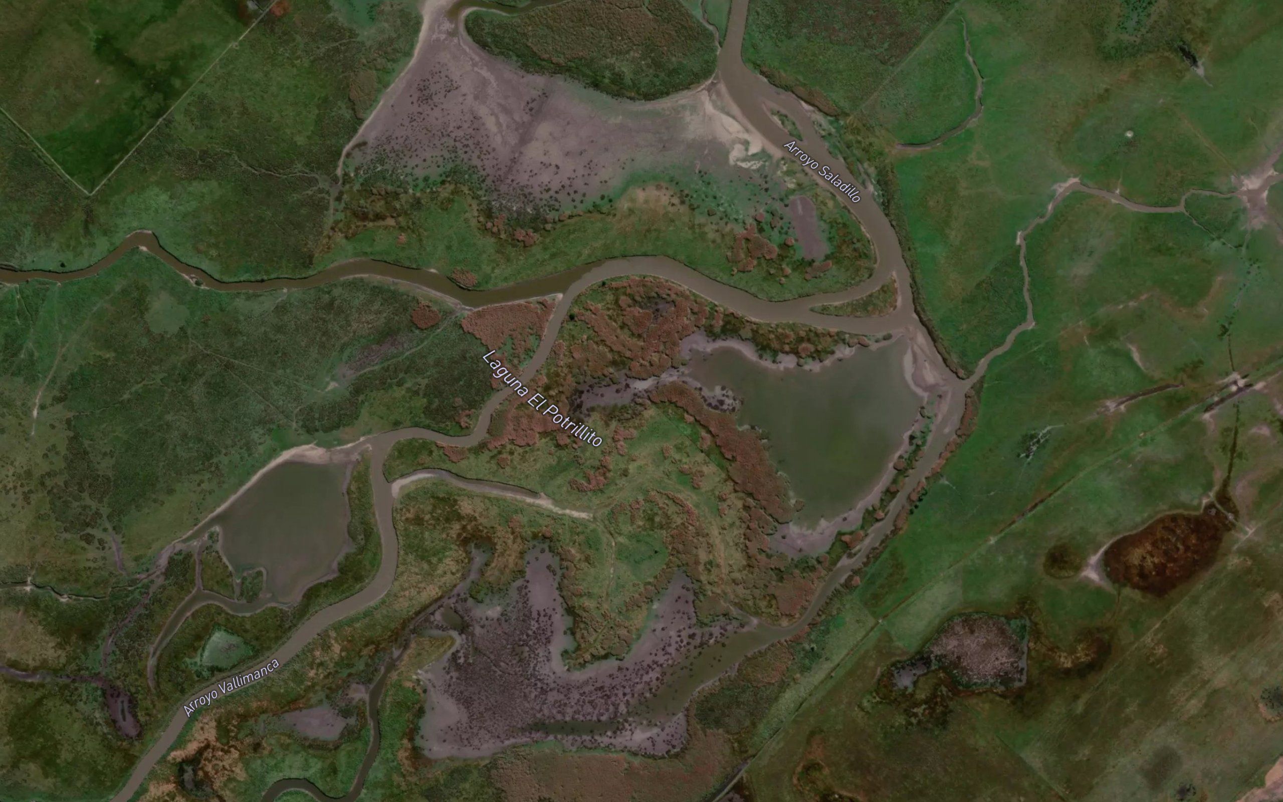 Laguna El Potrillito