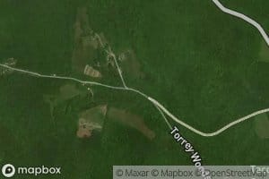 North Branch Hemlock Brook