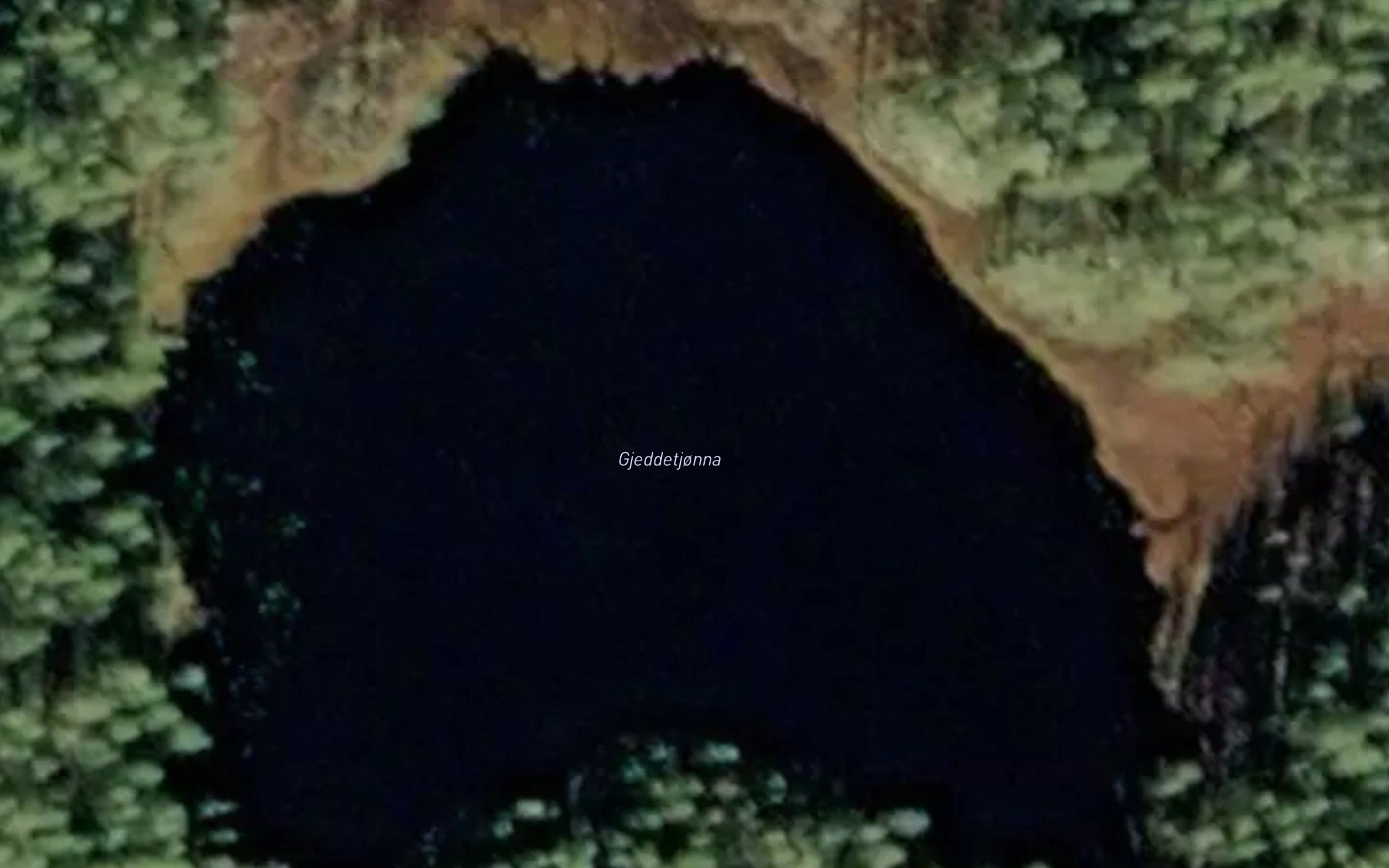 Gjeddetjorna