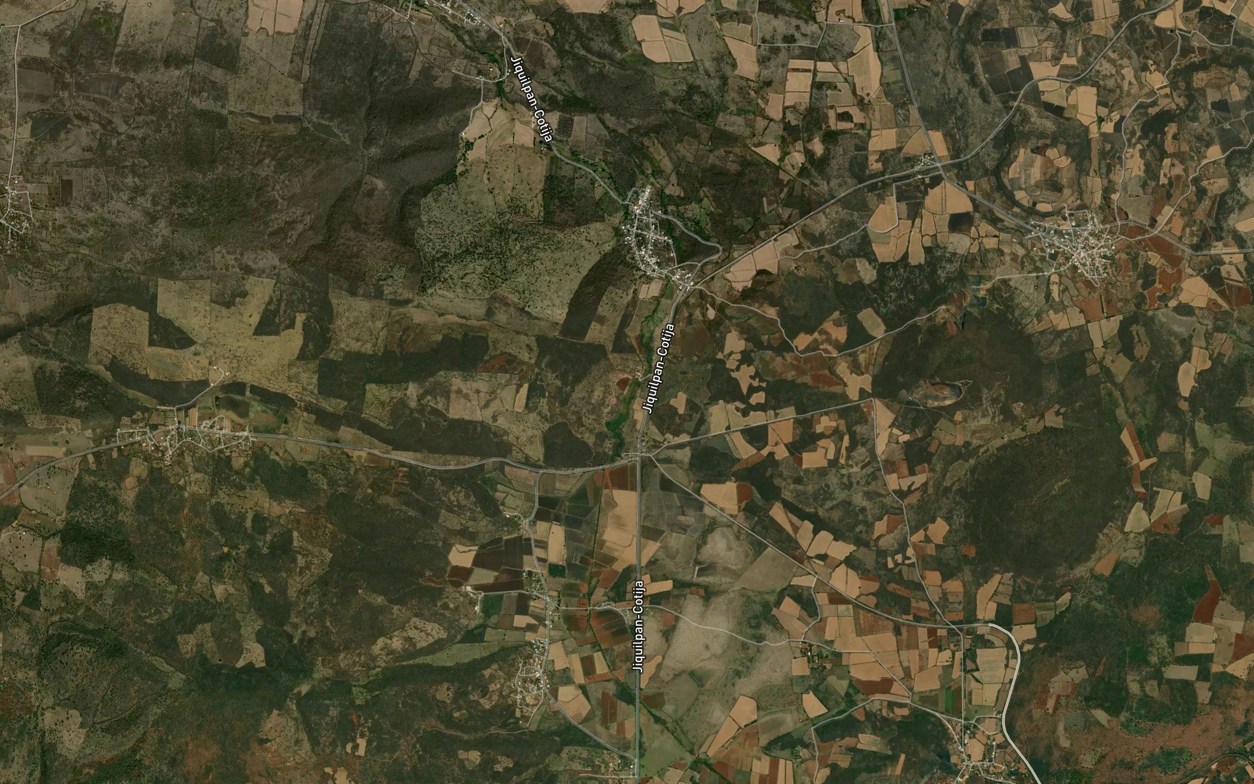 El Pino