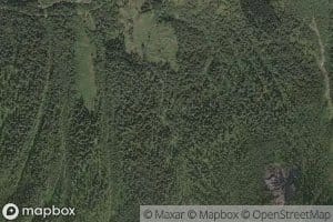 Fjellgrovi