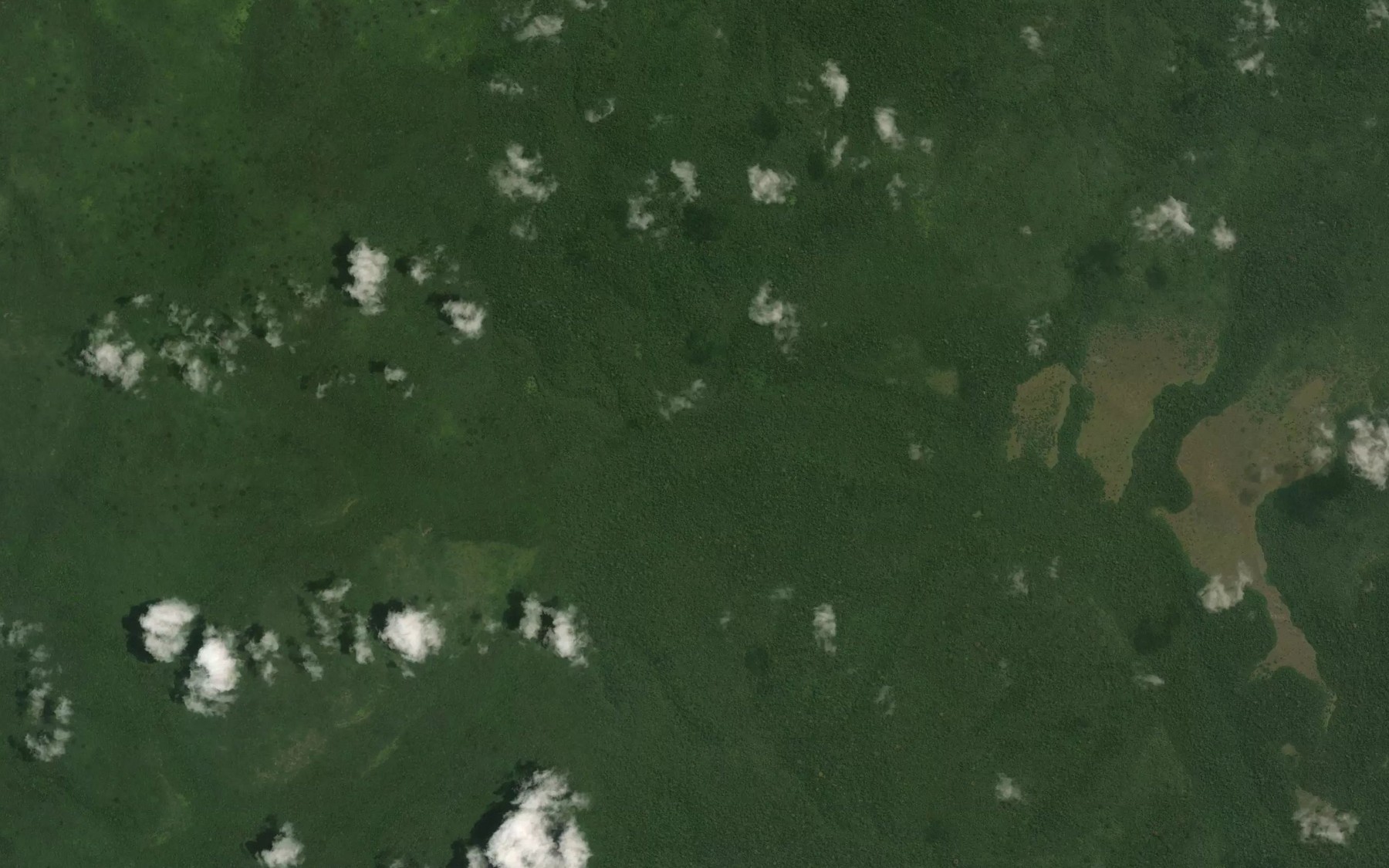 Satellite map of the Mgoloko