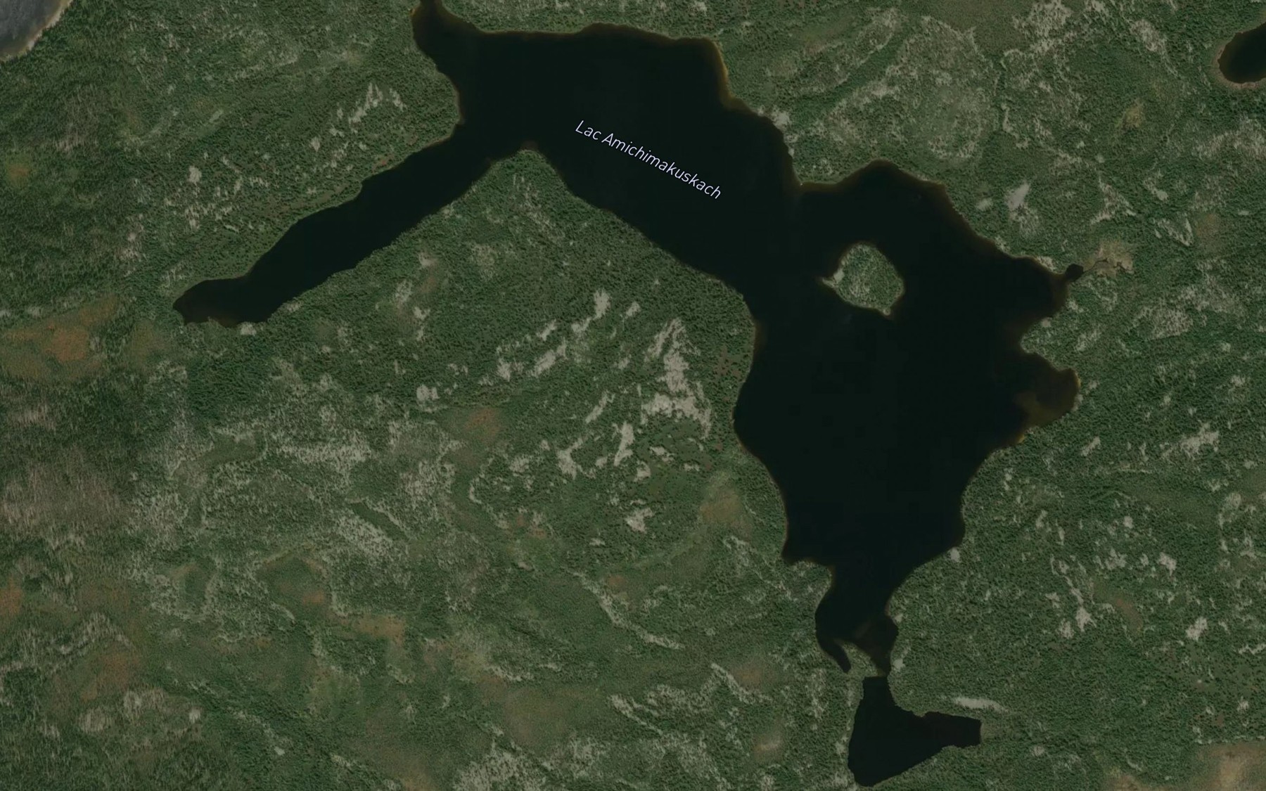 Satellite map of the Lac Amichimakuskach