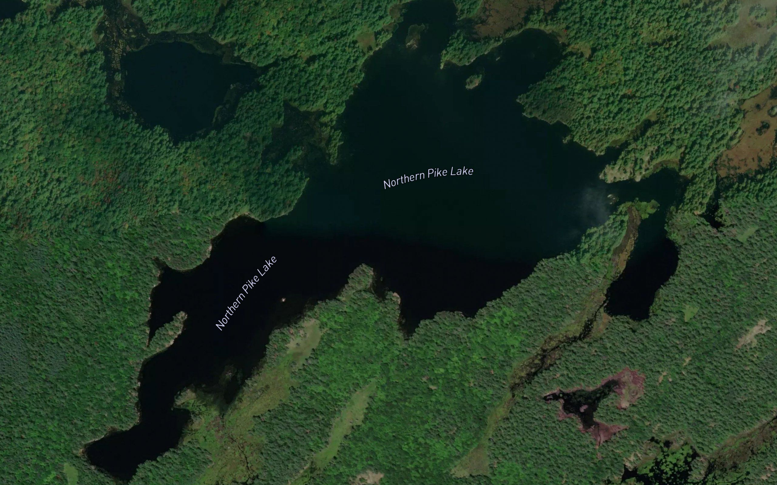 Northern Pike Lake