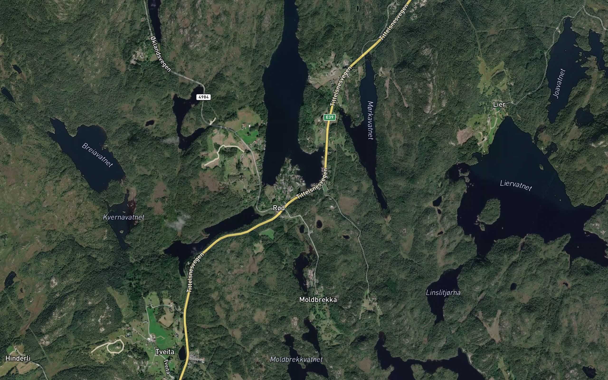 Haukasvika