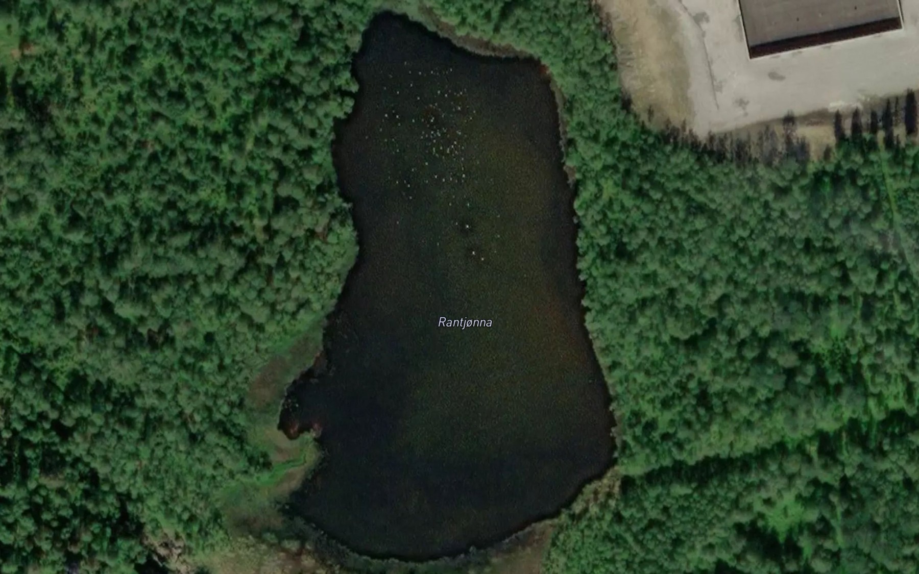 Satellite map of the Randtjorna