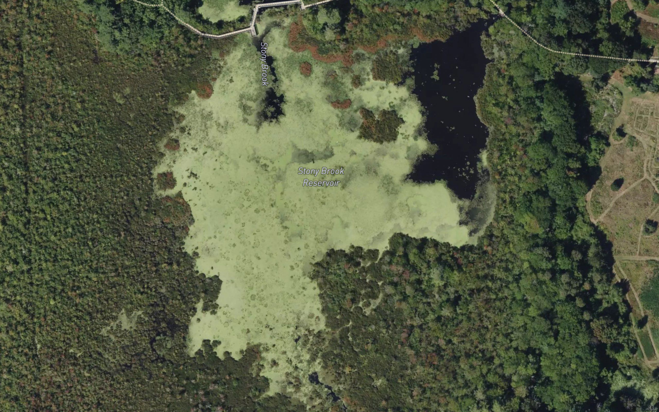Stony Brook Pond